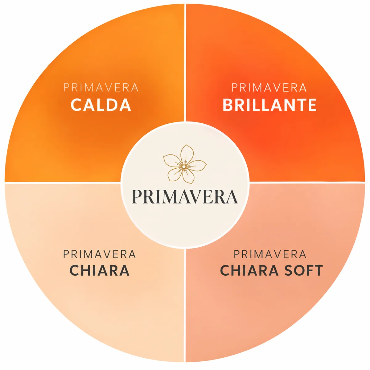 Grafico circolare dei quattro sottogruppi dell'Armocromia Primavera: Calda, Brillante, Chiara e Chiara Soft.